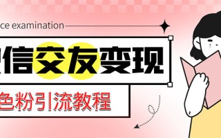 [热门给力项目]（5273期）微信交友变现项目，吸引全网LSP男粉精准变现，小白也能轻松上手，日入500+