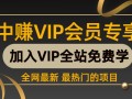 （111期）某站VIP项目-cpa作弊自动注册，日赚50-500元项目教程（两集完整版，附工具）