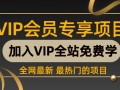 （296期）真正的长久项目（真正的实战）终极流量CPA日赚80-200元（6节全套视频教程）