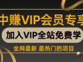 （217期）利用XX论坛给力引流，日引两万IP流量，操作CPA，CPS日赚400+项目教程