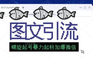 [热门给力项目]（5215期）23年价值1980的图文引流创业粉螺旋起好技术暴力起粉加爆微信
