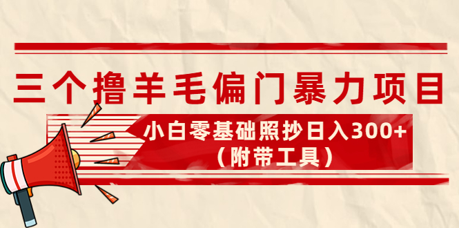 [热门给力项目]（4110期）外面卖998的三个撸羊毛偏门暴力项目，小白零基础照抄日入300+（附带工具）-第1张图片-智慧创业网