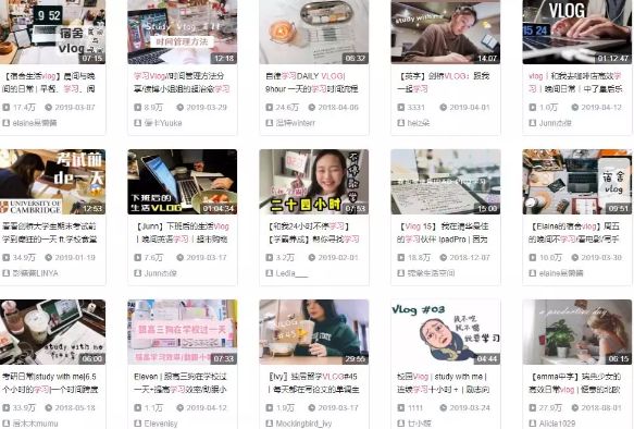 躺在风口上的"vlogger"，怎么做才赚钱？-第14张图片-智慧创业网