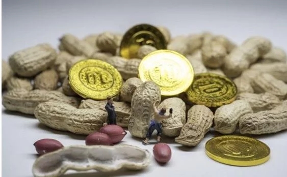 成本极低，而你的收益却是千倍的回报，新的赚钱机会-第8张图片-智慧创业网