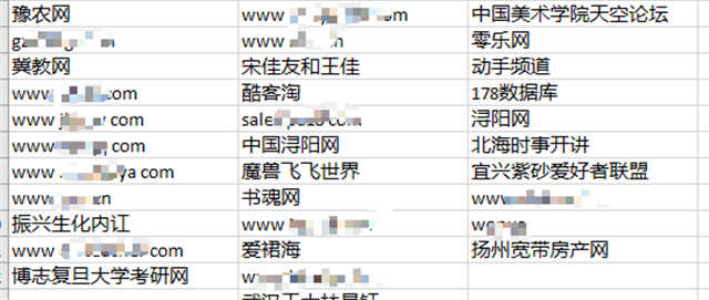 [引流涨粉]垃圾流量的SEO操作与变现案例-第5张图片-智慧创业网