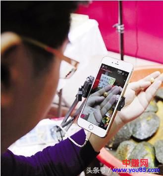 偏门暴利赚钱项目：直播现场开蚌卖珍珠，月赚5W+-第3张图片-智慧创业网