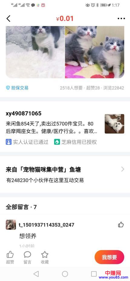 [网赚项目]分享五个靠文字赚钱的方向，年入百万是基础-第3张图片-智慧创业网