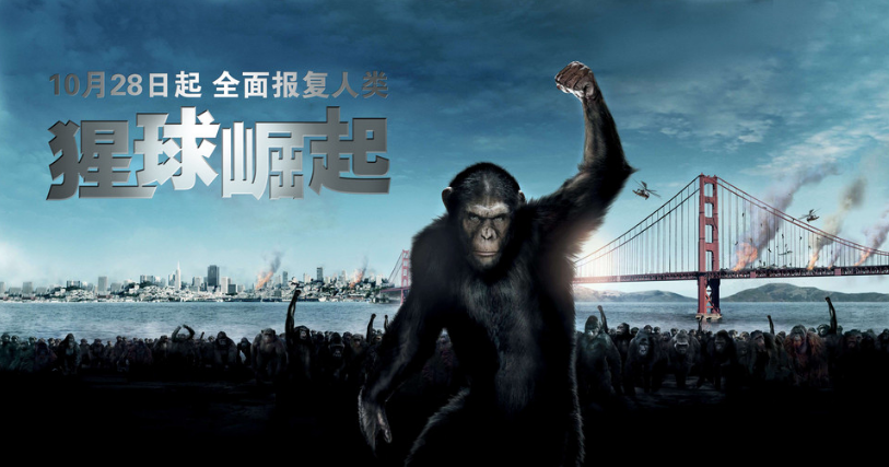 新手操作最新影视资源项目，可正可灰，无成本月入5000+-第9张图片-智慧创业网