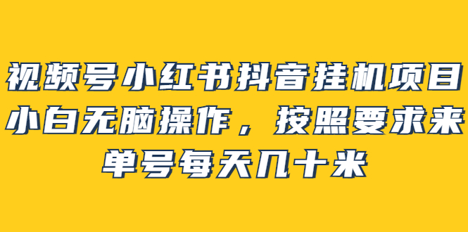 [小红书]（2437期）视频号小红书抖音挂机项目，小白无脑操作，按照要求来，单号每天几十米