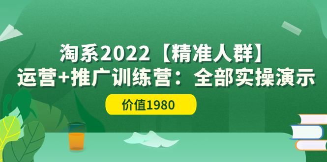 [国内电商]（3516期）淘系2022【精准人群】运营+推广训练营：全部实操演示