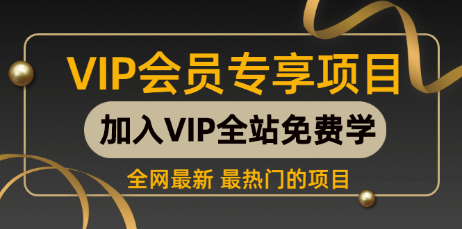 [引流-涨粉-软件]（1059期）某团队VIP赚钱项目教程之（SEO实操课程之网赚博客）-第1张图片-智慧创业网