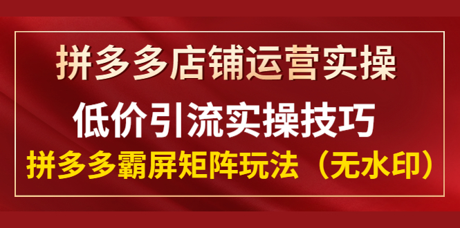 [国内电商]（1342期）拼多多店铺运营实操，低价引流实操技巧，拼多多霸屏矩阵玩法（无水印）