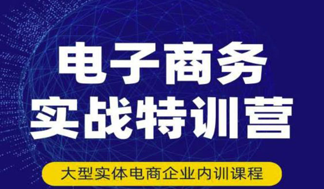 [国内电商]（3101期）电子商务实战特训营，全方位带你入门电商，308种方式玩转电商-第1张图片-智慧创业网