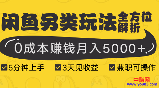 [国内电商]（940期）闲鱼另类玩法全方位解析，5分钟上手+3天见收益，0成本赚钱月入5000+(8节课)-第2张图片-智慧创业网