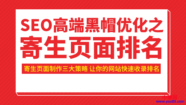 [引流-涨粉-软件]（951期）SEO高端黑帽优化之寄生页面排名，制作策略+快速收录排名（视频课）-第2张图片-智慧创业网