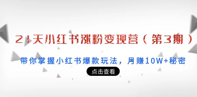 [小红书]（3795期）21天小红书涨粉变现营（第3期）：带你掌握小红书爆款玩法，月赚10W+秘密