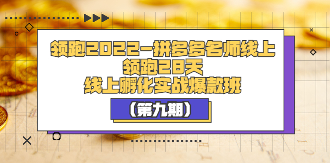 [国内电商]（3370期）领跑2022-拼多多名师线上领跑28天，线上孵化实战爆款班（第九期）