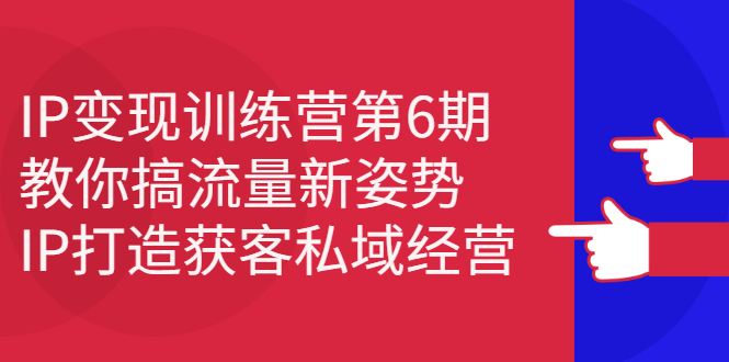 [引流-涨粉-软件]（2351期）IP变现训练营第6期：教你搞流量新姿势，IP打造获客私域经营-第1张图片-智慧创业网