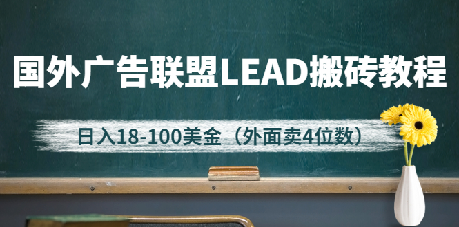 [国外项目]（2616期）外面卖4位数的国外广告联盟LEAD搬砖教程，日入18-100美金（教程+软件）-第1张图片-智慧创业网