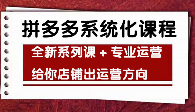 [国内电商]（4259期）车神陪跑，拼多多系统化课程，全新系列课+专业运营给你店铺出运营方向