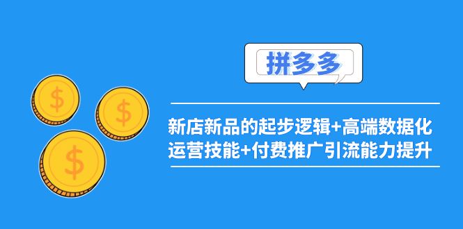 [国内电商]（3824期）2022拼多多：新店新品的起步逻辑+高端数据化运营技能+付费推广引流能力提升-第1张图片-智慧创业网