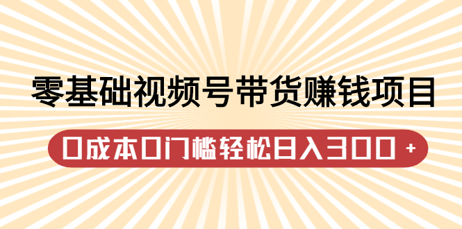 [短视频运营]（2414期）零基础视频号带货赚钱项目，0成本0门槛轻松日入300+【视频教程】