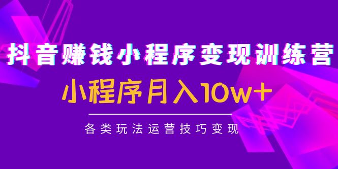 [短视频运营]（4511期）抖音赚钱小程序变现训练营：小程序月入10w+各类玩法运营技巧变现