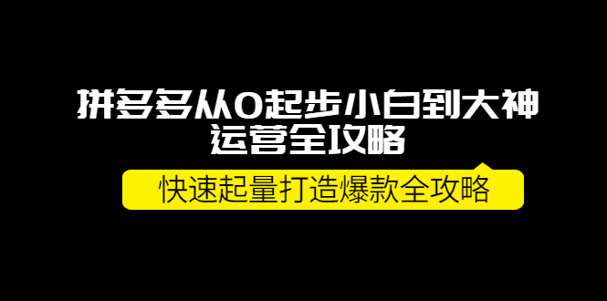 [国内电商]（3884期）拼多多从0起步小白到大神运营全攻略，快速起量打造10W+爆款全攻略！