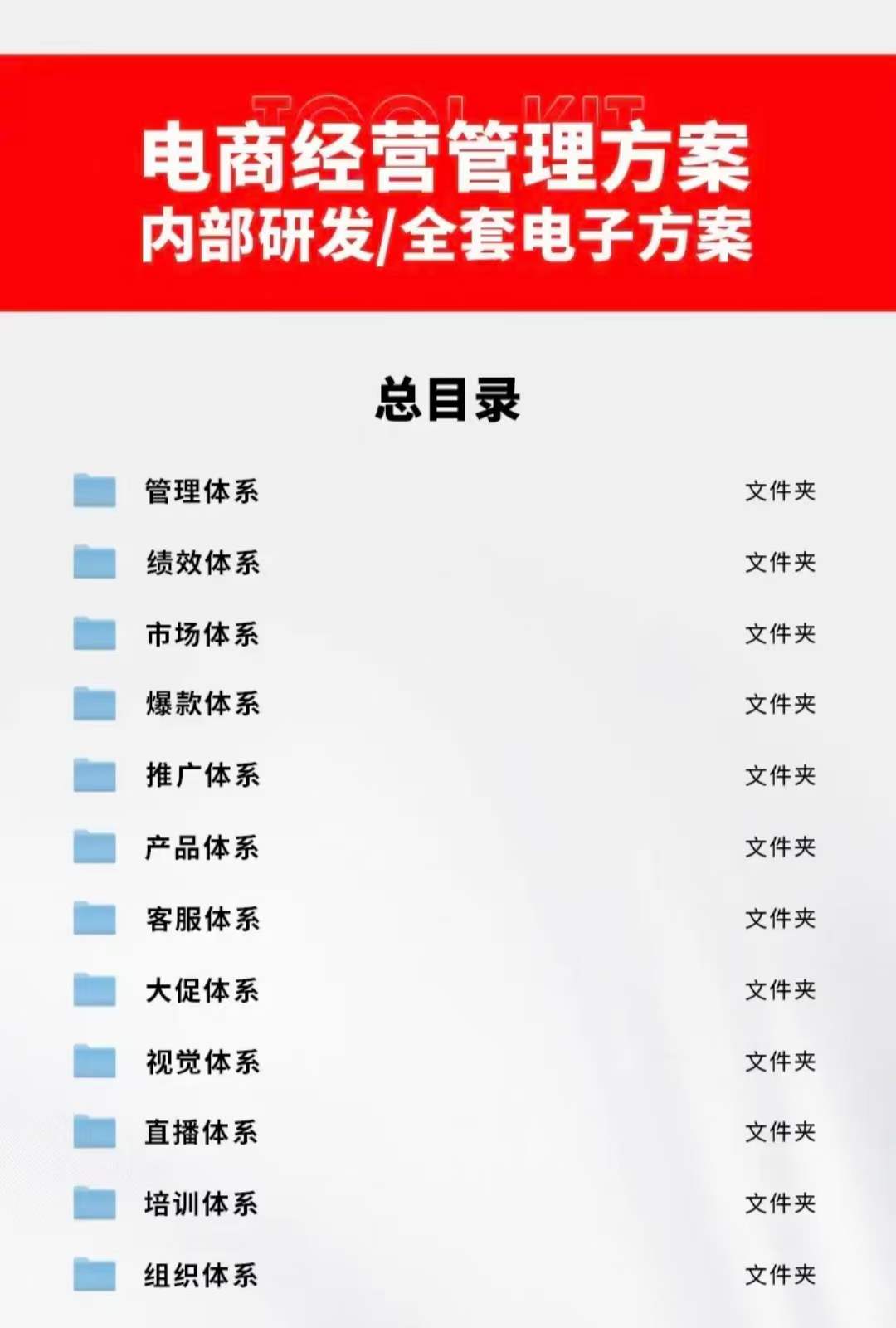 [国内电商]（3439期）外面卖198·电商企业经营管理工具：全套执行落地方案 标准模块·直接套用-第3张图片-智慧创业网