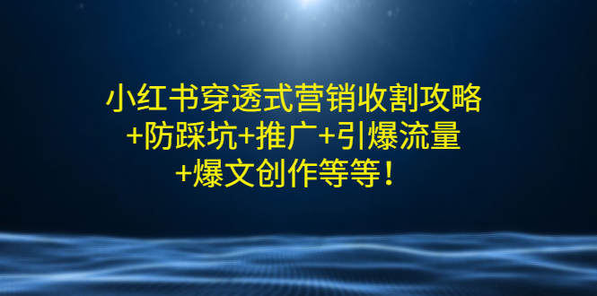 [小红书]（2907期）小红书穿透式营销收割攻略+防踩坑+推广+引爆流量+爆文创作等等！-第1张图片-智慧创业网