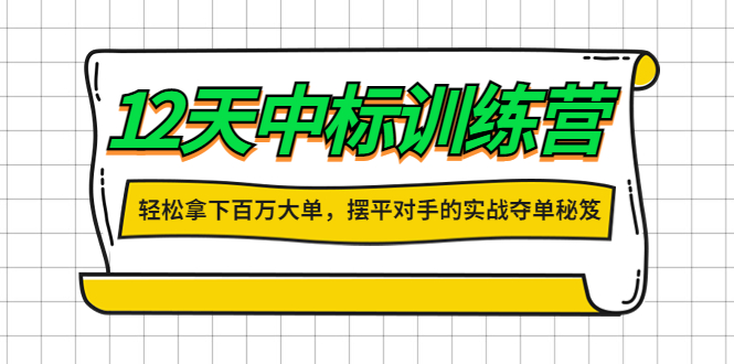 [营销-成交]（4116期）12天中标训练营：轻松拿下百万大单，摆平对手的实战夺单秘笈！-第1张图片-智慧创业网