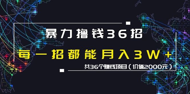 [创业项目]（1149期）暴力撸钱36招，每一招都能月入30000+共36个赚钱项目（价值2000元）-第2张图片-智慧创业网