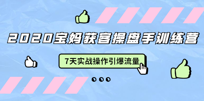 [引流-涨粉-软件]（1542期）2020宝妈获客操盘手训练营：7天实战操作引爆 母婴、都市、购物宝妈流量