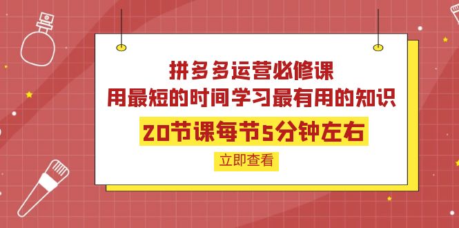 [国内电商]（3839期）拼多多运营必修课：20节课每节5分钟左右，用最短的时间学习最有用的知识