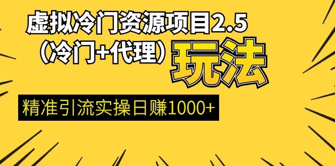 [虚拟资源]（1185期）虚拟冷门资源项目2.5（冷门&代理玩法） 精准引流实操日赚1000+(更新中)