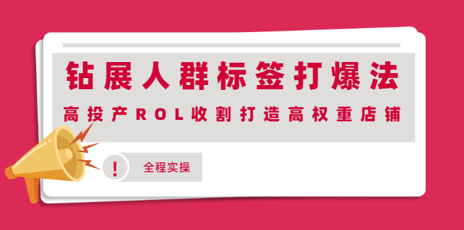 [国内电商]（2018期）钻展人群标签打爆法，高投产ROL收割打造高权重店铺(全程实操)