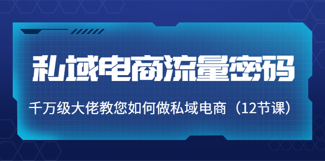 [国内电商]（3977期）私域电商流量密码：千万级大佬教您如何做私域电商（12节课）