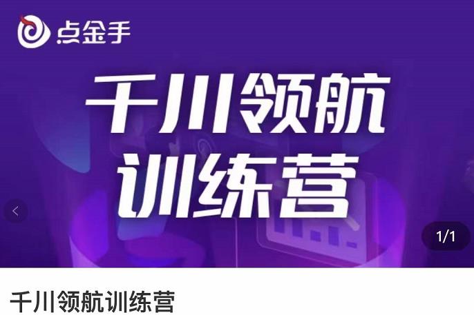 [短视频运营]（3244期）点金手·千川领航训练营，干川逻辑与算法的剖析与讲解（原价999）-第1张图片-智慧创业网