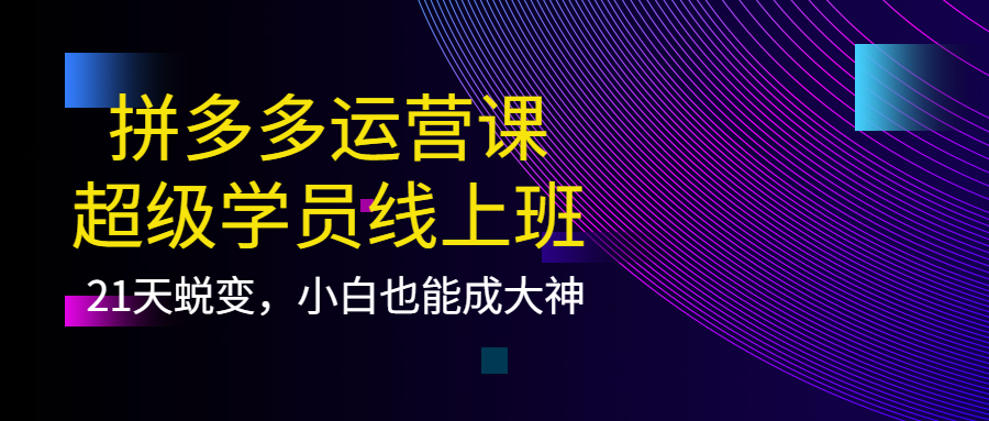 [短视频运营]（3929期）拼多多运营课：超级学员线上班，21天蜕变，小白也能成大神