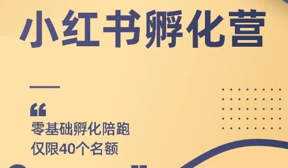 [小红书]（1763期）勇哥小红书撸金快速起量项目：教你如何快速起号获得曝光，做到月躺赚3000+