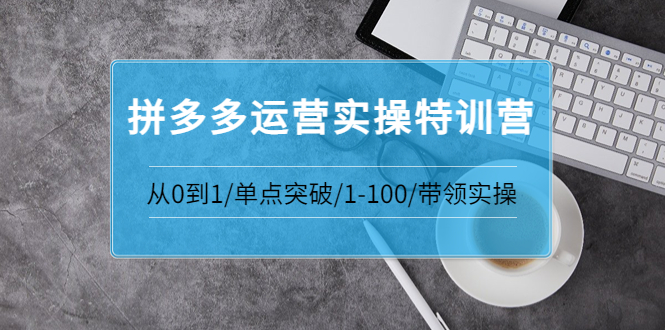 [国内电商]（3417期）青云:拼多多运营实操特训营：从0到1/单点突破/1-100/带领实操-第1张图片-智慧创业网