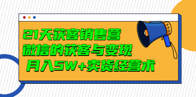 [引流-涨粉-软件]（2997期）21天获客销售营，带你微信的获客与变现  月入5W+卖货经营术