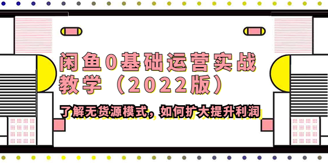 [国内电商]（4196期）闲鱼0基础运营实战教学（2022版）了解无货源模式，如何扩大提升利润-第1张图片-智慧创业网