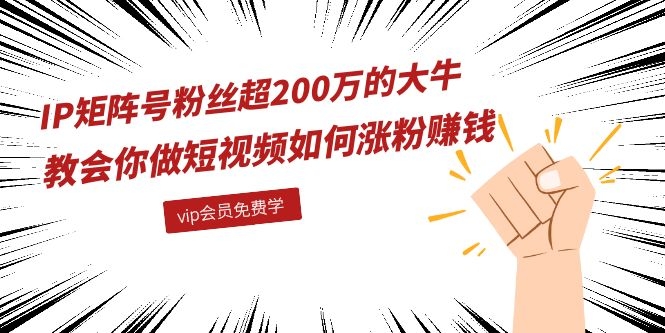 [引流-涨粉-软件]（1089期）IP矩阵号粉丝超200万的大牛：教会你做短视频如何涨粉赚钱（全套课程）-第2张图片-智慧创业网