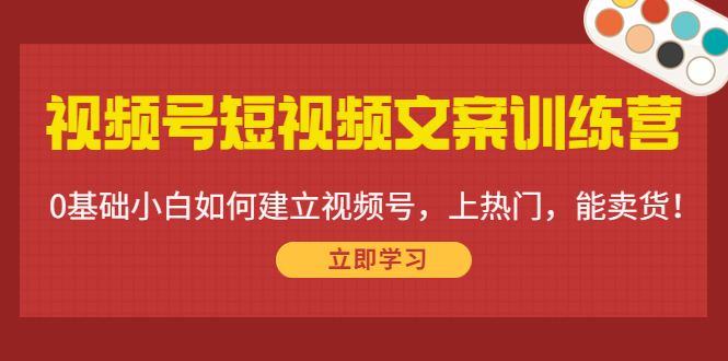 [短视频运营]（4266期）视频号短视频文案训练营：0基础小白如何建立视频号，上热门，能卖货！