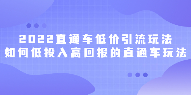 [国内电商]（2415期）2022直通车低价引流玩法，教大家如何低投入高回报的直通车玩法