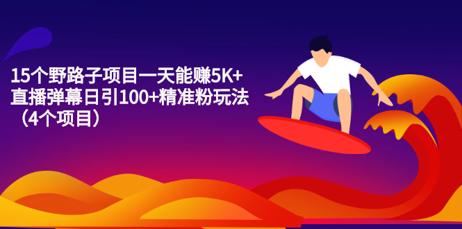 [热门给力项目]（2213期）15个野路子项目一天能赚5K+直播弹幕日引100+精准粉玩法（4个项目）-第1张图片-智慧创业网