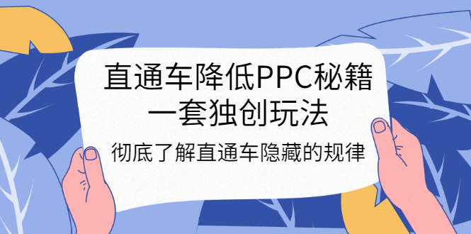 [国内电商]（3013期）直通车降低PPC秘籍，一套独创玩法：彻底了解直通车隐藏的规律-第1张图片-智慧创业网