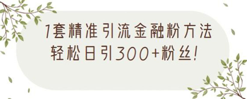 [引流-涨粉-软件]（2156期）1套精准引流金融粉方法，轻松日引300+粉丝【视频课程】