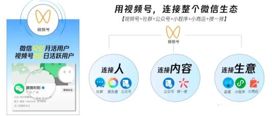 [短视频运营]（1656期）从0到1带你玩赚视频号：这么玩才赚钱，日引流500+日收入1000+核心玩法-第3张图片-智慧创业网